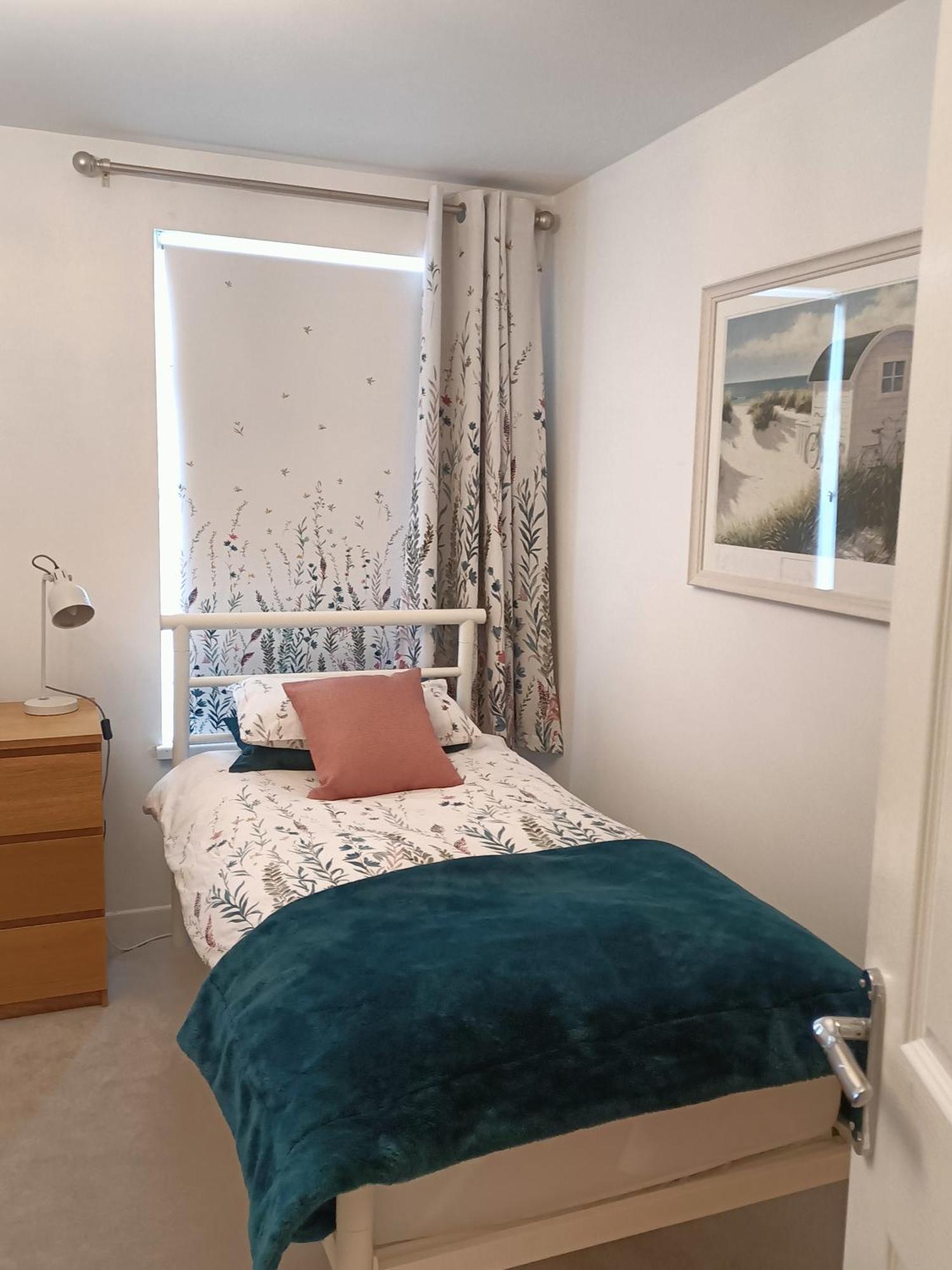Mill Cottage 卡瑞克福格斯 外观 照片